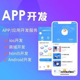 軟件開發與APP定制系統 技術驅動下的創新解決方案